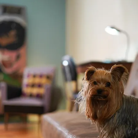 Unique Stylish House In Beautiful Graca Apartment